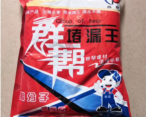 群帮堵漏王